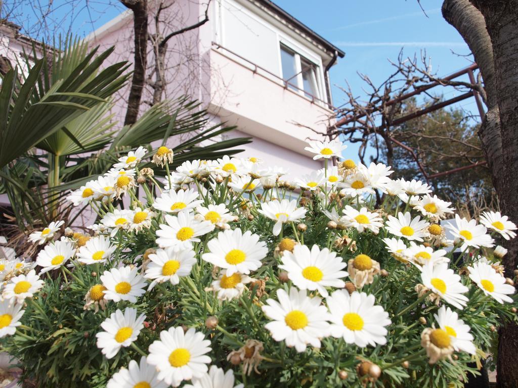 Apartments Zufic Штиньян Экстерьер фото
